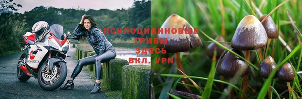 a pvp Володарск