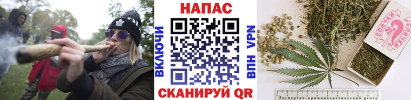 Купить где Фёдоровский Конопля гибрид